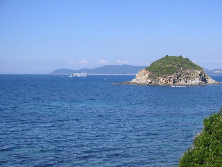 Cavo