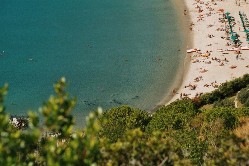 Cavoli