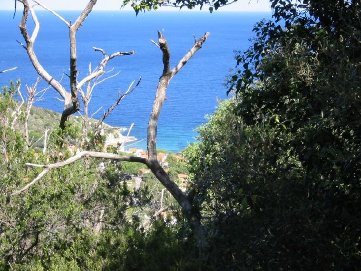 Sant'Andrea
