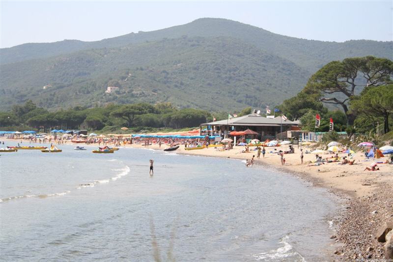 Lacona