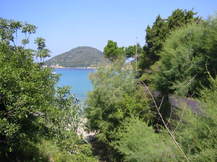 Viticcio